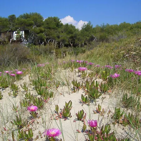 Nyaraló Esclusiva Il Nido D'amore Sul Mare