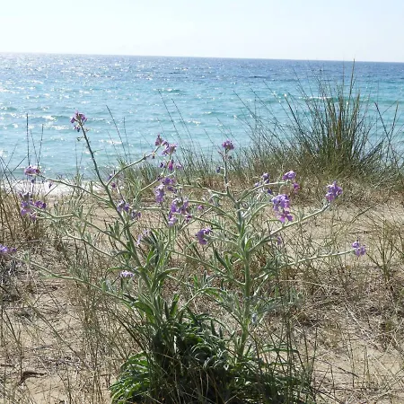Esclusiva Il Nido D'amore Sul Mare Nyaraló