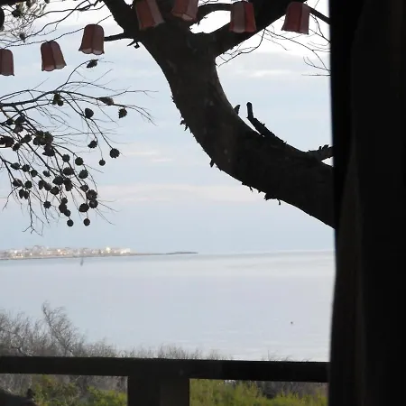 Esclusiva Il Nido D'amore Sul Mare *