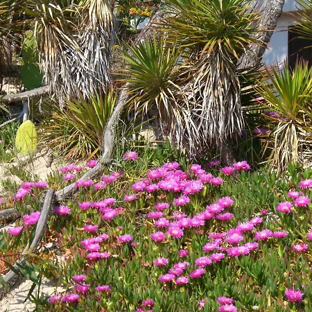 Esclusiva Il Nido D'amore Sul Mare Holiday home *