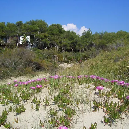 Nyaraló Esclusiva Il Nido D'amore Sul Mare Gallipoli
